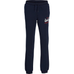 JACK & JONES Joggingbroek - Blauw