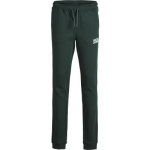 JACK & JONES Joggingbroek - Groen