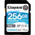 Kingston Canvas Go Plus 256GB - Zwart