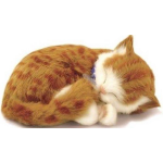 Perfect Petzzz Knuffel Kitten Orange Tabby - Rood