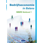 Bedrijfseconomie in Balans havo werkboek 1