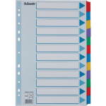 Esselte Tabblad karton met Mylar versterkte tabs A4 -