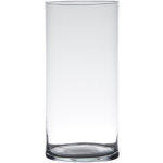 Bellatio Design Glazen Bloemen Cilinder Vaas/vazen 30 X 12 Cm Transparant - Vazen