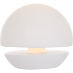 Anne Lighting 2482w