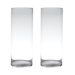 Bellatio Design Set Van 2x Stuks Transparante Home-basics Cylinder Vorm Vaas/vazen Van Glas 60 X 19 Cm - Vazen