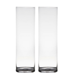 Bellatio Design Set Van 2x Stuks Transparante Home-basics Cylinder Vorm Vaas/vazen Van Glas 50 X 15 Cm - Vazen