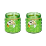 2x Stuks Citronella Kaarsen Tegen Insecten In Glazen Pot 12 Cm - Geurkaarsen - Groen
