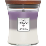 Woodwick Kaars Medium Trilogy Amethyst Sky - 11 Cm / ø 10 Cm - Paars