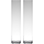 Bellatio Design Set Van 2x Stuks Transparante Home-basics Cylinder Vorm Vaas/vazen Van Glas 50 X 9 Cm - Vazen