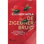 De zigeunerbruid