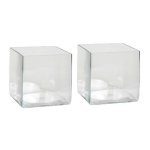 Mica Decorations 2x Lage Vierkante Vaas Transparant Glas 20 X 20 X 20 Cm - Accubak - Glazen Vazen - Woonaccessoires