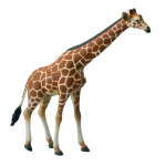 Collecta Wilde Dieren Giraf 15.5 X 16.5 Cm - Bruin