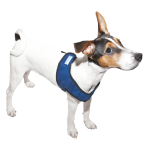 Aqua Coolkeeper Cooling Comfy Harnass Pacific Blue