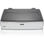 Epson Expression 12000XL Flatbed scanner 2400 x 4800DPI A3 Grijs, - Wit
