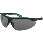Uvex 9160043 Veiligheidsbril, Groen DIN EN 166-1, DIN EN 169 - Negro