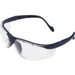 protectionworld 2012006 Veiligheidsbril - Zwart