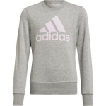 Adidas Sweater - Grijs