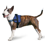 Aqua Coolkeeper Cooling Survival Harnass Pacific Blue