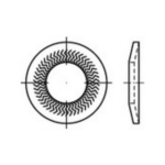 159392 Grendelschijven Binnendiameter: 8 mm Verenstaal Verzinkt 250 stuk(s)