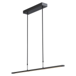 Lamponline Hanglamp Real 2 Led 100 Cm Nikkel - Zwart