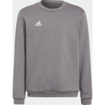 Adidas Sweater - Grijs