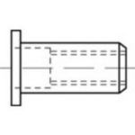 TOOLCRAFT TO-5380452 Blindklinkmoer M6 RVS 250 stuk(s)