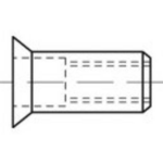 TOOLCRAFT TO-5380485 Blindklinkmoer M4 RVS 500 stuk(s)