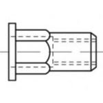 TOOLCRAFT TO-5380581 Blindklinkmoer M4 RVS 500 stuk(s)