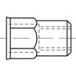 TOOLCRAFT TO-5380596 Blindklinkmoer M4 RVS 500 stuk(s)