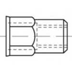 TOOLCRAFT TO-5380599 Blindklinkmoer M5 RVS 500 stuk(s)