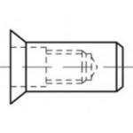 TOOLCRAFT TO-5444304 Blindklinkmoer M5 Staal 500 stuk(s)