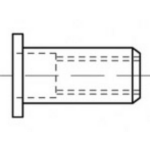 TOOLCRAFT TO-5455317 Blindklinkmoer M6 500 stuk(s)