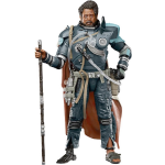 Hasbro Star Wars Black Label DLX Figure 2