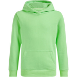 WE Fashion Sweater - Groen