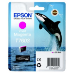 Epson Epson T7603 Inktcartridge magenta, 25,9 ml T7603 Replace: N/A