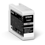 Epson Inktpatroon grijs, 25 ml C13T46S700 Replace: N/A