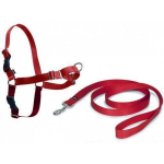 Petsafe Anti-Trek hondentuig Easy Walk ® - Rood