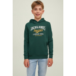 JACK & JONES Sweater - Groen