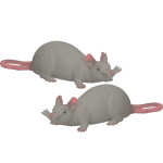 Johntoy 2x Stuks John Toy - Speelgoed Halloween Decoratie Kunststof Rat 28 Cm - Speelfiguren - Grijs