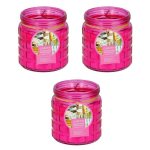 3x Stuks Citronella Kaarsen Tegen Insecten In Glazen Pot 12 Cm Fuchsia - Geurkaarsen - Roze