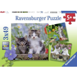 Ravensburger Puzzel Katten - 3 X 49 Stukjes