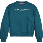 Tommy Hilfiger Sweater - Blauw