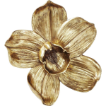 Kare Design Wanddeco Orchidee 44cm - Or