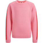 WE Fashion Sweater - Roze