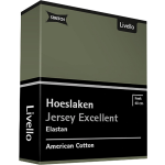 Livello Hoeslaken Jersey Excellent Green 90 X 200 Cm - Groen