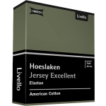 Livello Hoeslaken Topper Jersey Excellent Green 90 X 200 Cm - Groen