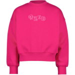 Raizzed Sweater - Roze