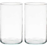 Giftdecor Bloemenvazen 2x Stuks - Cilinder Vorm - Transparant Glas - 17 X 30 Cm - Vazen