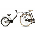 Bike2go Aanhangfiets 20 Inch 42 cm Junior Zilver - Silver