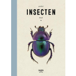Pocket insectenboek